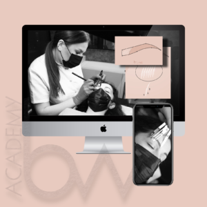 BASICS OF MICROBLADING - online education