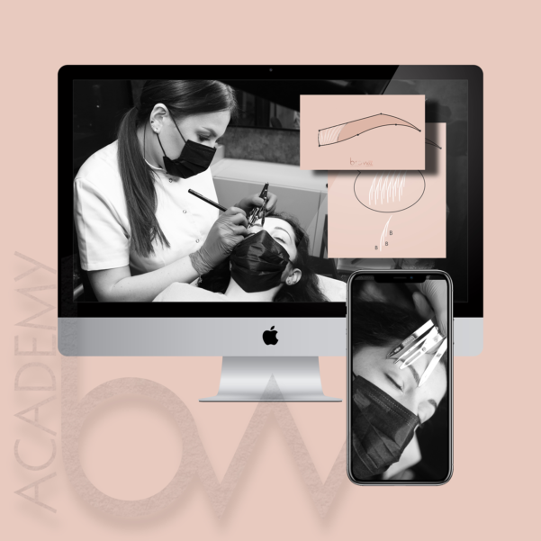 BASICS OF MICROBLADING - online education